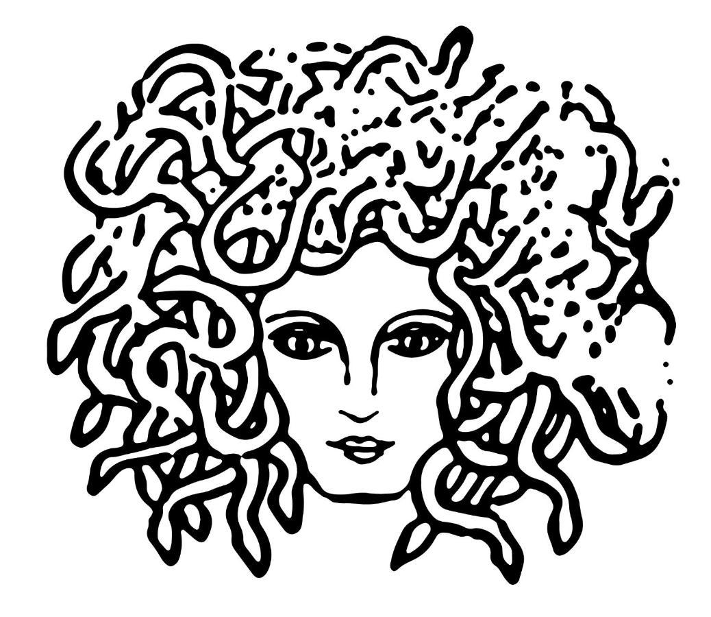 Medusa Duomo Guest House Naples Exterior photo